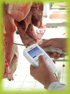 Instrumentos de Medici&oacute;n Port&aacute;tiles